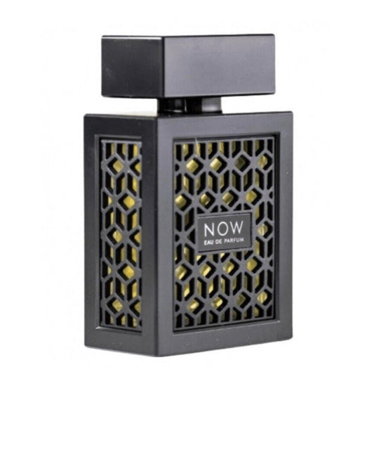 Salvo by Maison Alhambra for Men - 3.4 oz EDP Spray